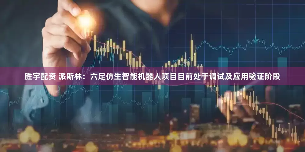 胜宇配资 派斯林：六足仿生智能机器人项目目前处于调试及应用验证阶段