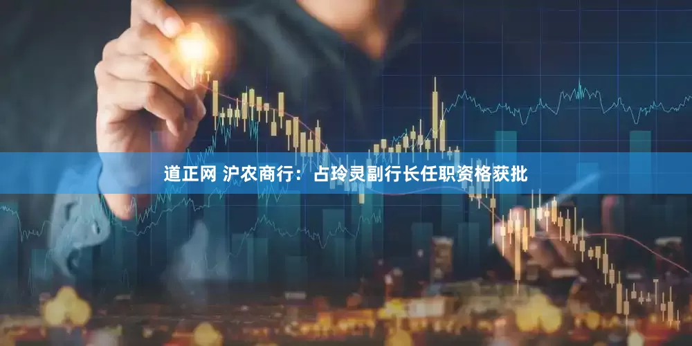 道正网 沪农商行：占玲灵副行长任职资格获批